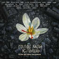 Не спеши