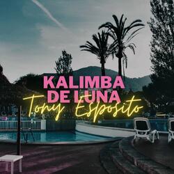 Kalimba de Luna (Radio Edit)