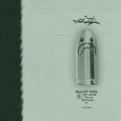 Bullet Fool