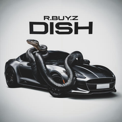 DISH