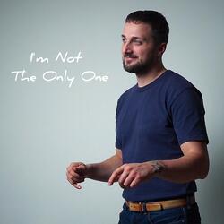 I'm Not the Only One (Instrumental Version)
