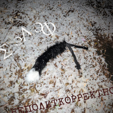 Неполиткорректно