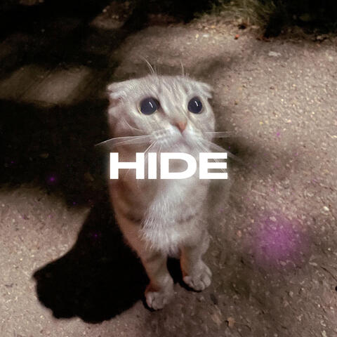 Hide