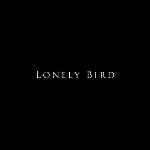 Lonely Bird