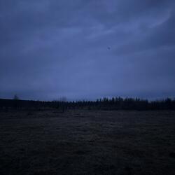 Dark Place