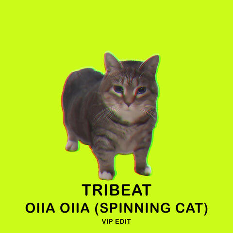OIIA OIIA (Spinning Cat) [VIP EDIT]