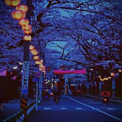 CITY LIFE