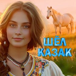 Шуточная песня