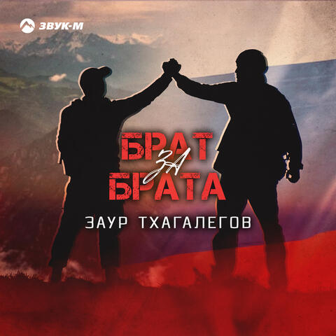 Брат за брата