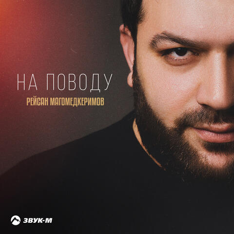 На поводу