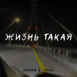 Жизнь такая
