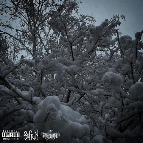 Нечего терять