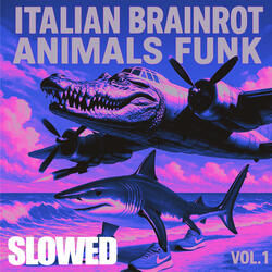 BURBALONI LULILOLI FUNK (SLOWED)