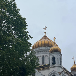 жизнь артиста