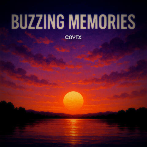 Buzzing Memories
