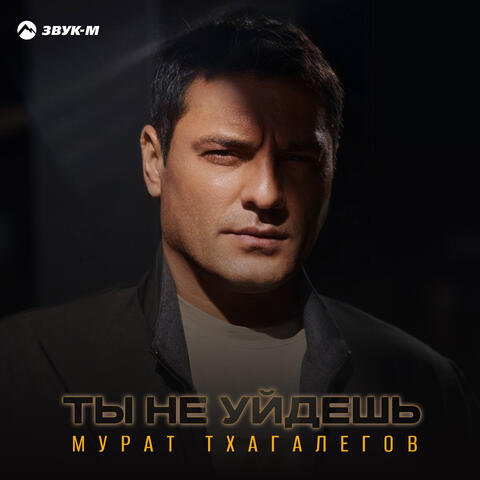 Ты не уйдешь