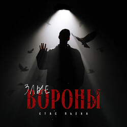 Злые вороны