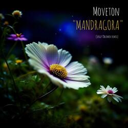 Mandragora (Sergey Oblomov Remix)