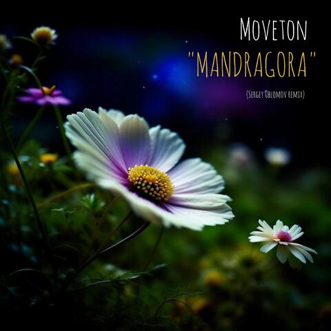 Mandragora (Sergey Oblomov Remix)