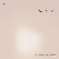 Я тебя не вижу (Cover)