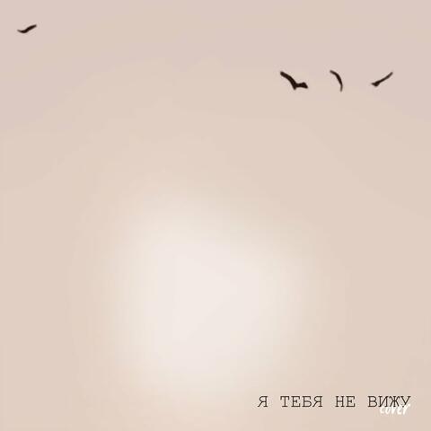 Я тебя не вижу (Cover)