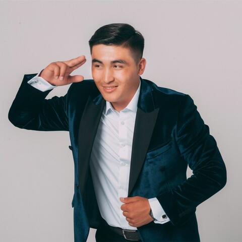 Көк шибер