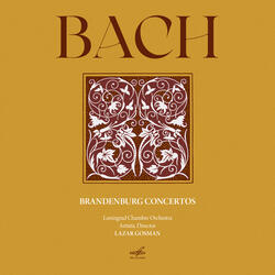 Brandenburg Concerto No. 5 in D Major, BWV 1050: II. Affettuoso
