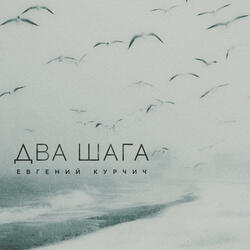 Два шага