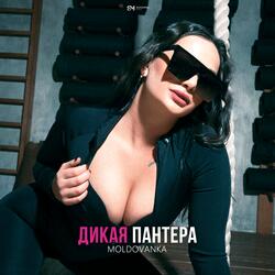 Дикая пантера