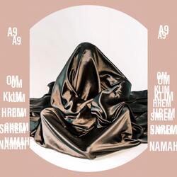 OM KLIM HREM SHREM NAMAH