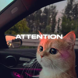 Attention