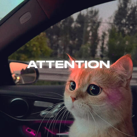 Attention