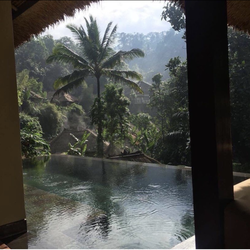 Tropical rain