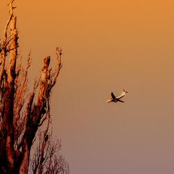 Легче без меня