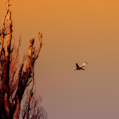Легче без меня