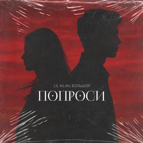 Попроси