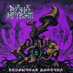 Бисиво Вульгарис