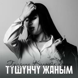 Түшүнчү жаным (Cover)