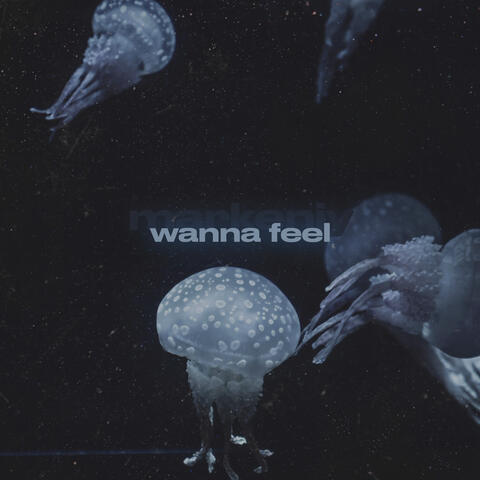 wanna feel