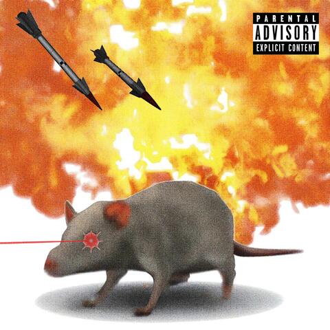 RAT