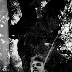 Розовощекое