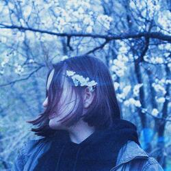 мы встретимся с тобой весной