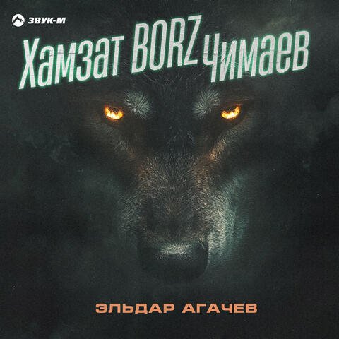 Хамзат BORZ Чимаев