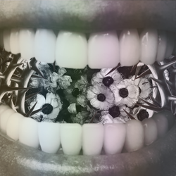 копошусь во рту у ноября