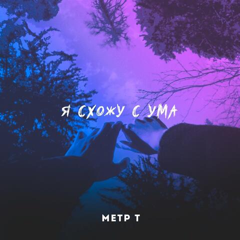 Я схожу с ума