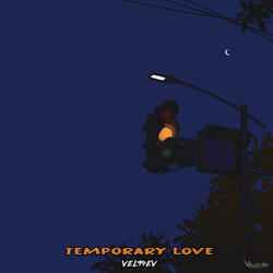 Temporary Love