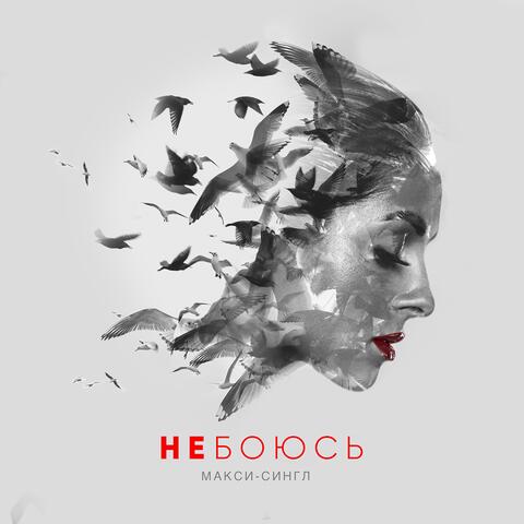 Не боюсь