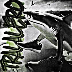 TRALALERO TRALALA FUNK (Slowed)