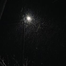 Sleet