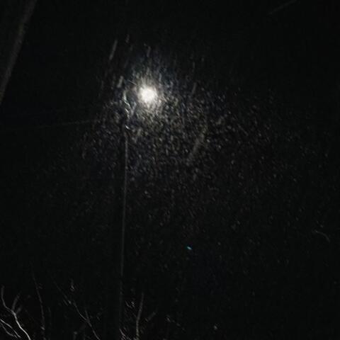 Sleet